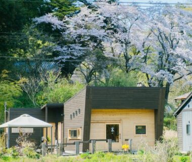 Modern wooden ryokan exterior with cherry blossom and gazebo at 玄か~sizuka~ in Kyoto