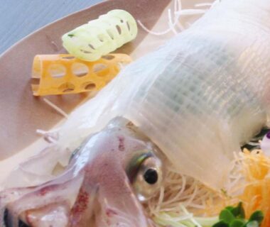 Translucent sliced squid sashimi with garnishes on platter at Koemon auberge apaisante in Hyōgo, Kansai