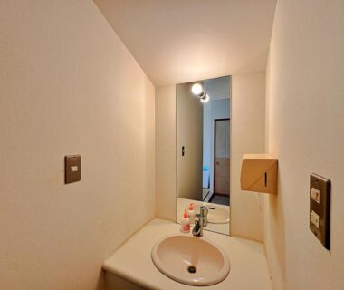 Compact sink and mirror in ryokan wash area, neutral walls, small soap dispenser, Hitō Hanabun Niigata