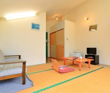 Tatami room with low table, sofa and TV at Hitō Hanabun in Niigata, Chūbu