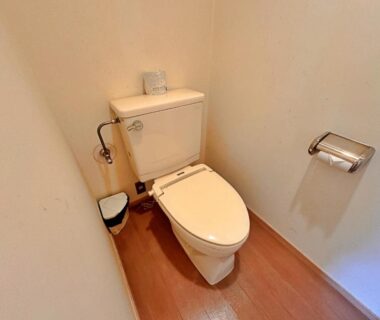 Western-style toilet with wooden floor in compact restroom at Hitō Hanabun, Niigata Chūbu