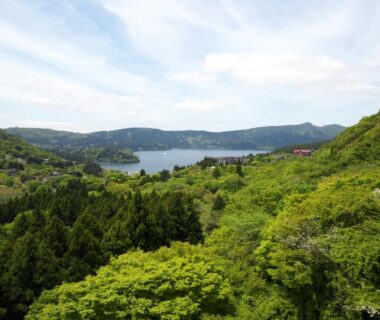 View of Lake Ashinoko and surrounding forested hills near 箱根芦ノ湖 HOTEL RaKuun in Kanagawa
