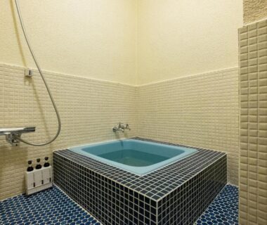 Tiled indoor bath with handheld shower, Zuihō-sō hébergement sans repas, Shizuoka