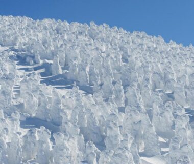 Dense snow formations on mountain trees above Zaō Onsen, Yamagata