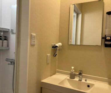 Sink and mirror with wall hairdryer and soap dispenser at Isamiya auberge Fukushima
