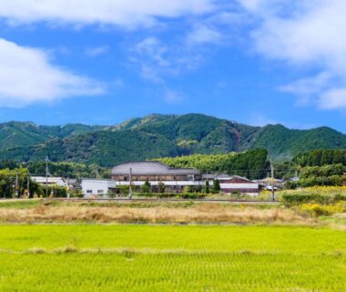 Rice paddies with ryokan building and mountain backdrop at 酒蔵宿西山 鼓傳, Hyōgo, Kansai
