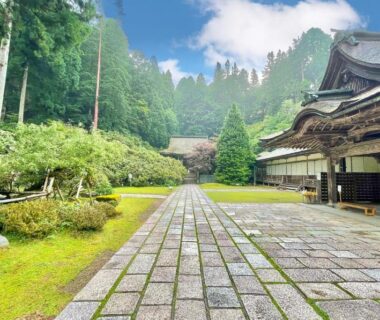 Stone pathway and moss courtyard at Kongo Sanmaiin in Wakayama surrounded by cedar trees