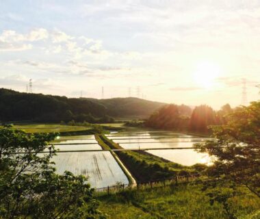 Flooded rice paddies reflecting sunlight with rolling hills near Zenigame, Chūbu, Ishikawa, Japan