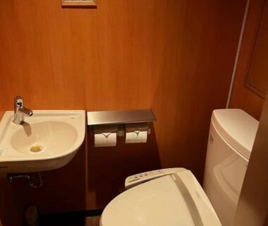 Compact toilet and sink with wood-paneled walls and control panel at Miyabitake, Kanagawa