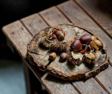 Chestnuts and spiky burs on a wooden slab at Okara Sansō, Nagano, Chūbu