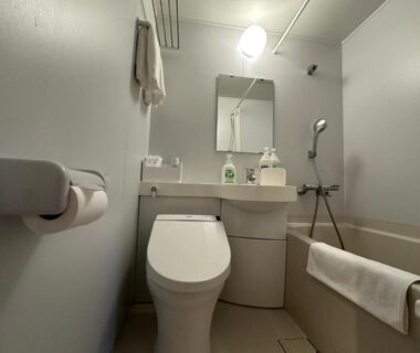 Small bathroom with bathtub, shower and toilet at Hôtel Ekihon Building, 2e étage, Niigata, Chūbu Japan